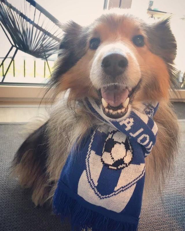 1623568890370088896.jpg 87.jpg